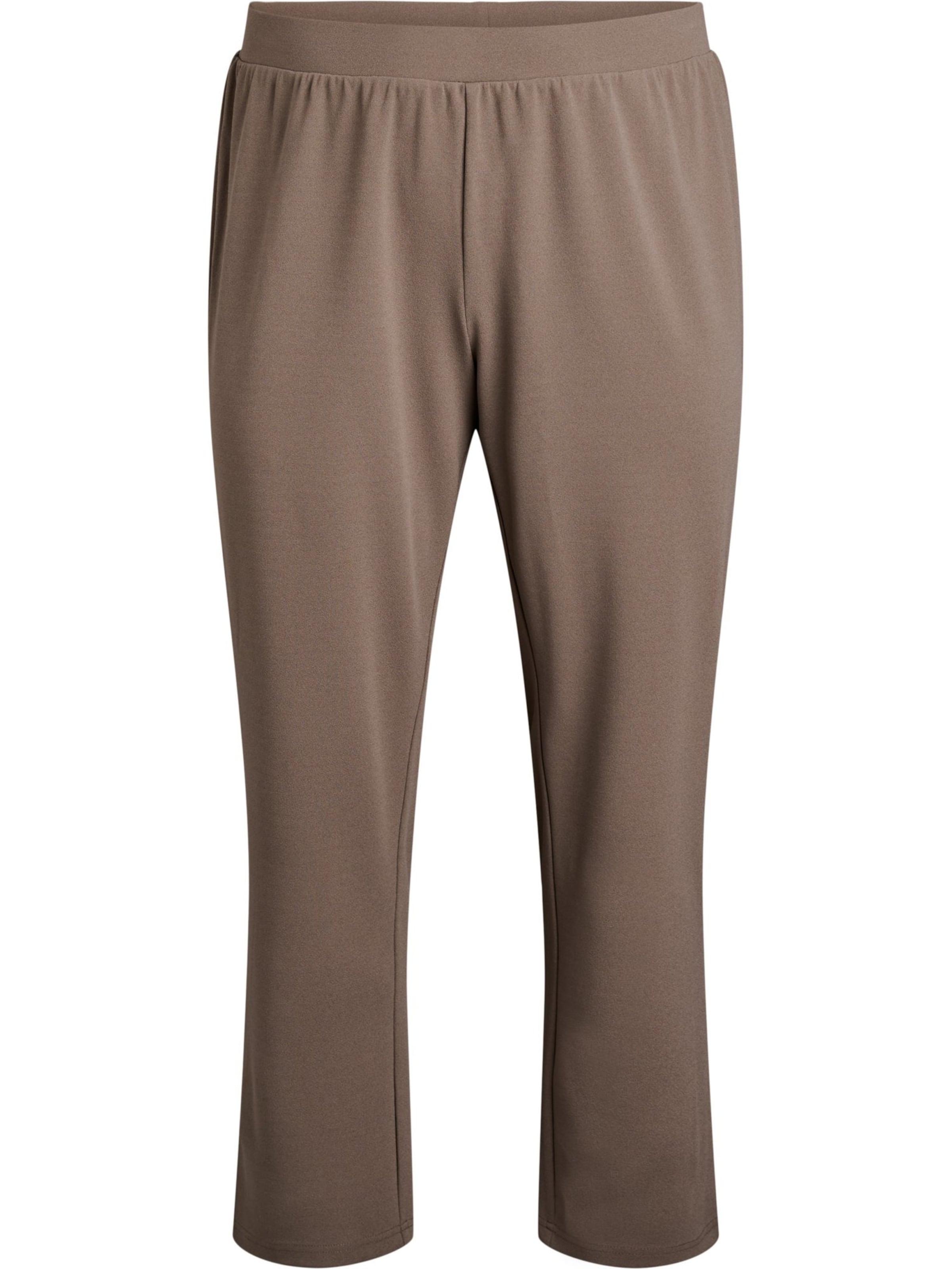 Flash by Zizzi Regular Trousers 'FLELLA' in Beige: front