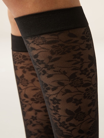 CALZEDONIA Knee High Socks in Black
