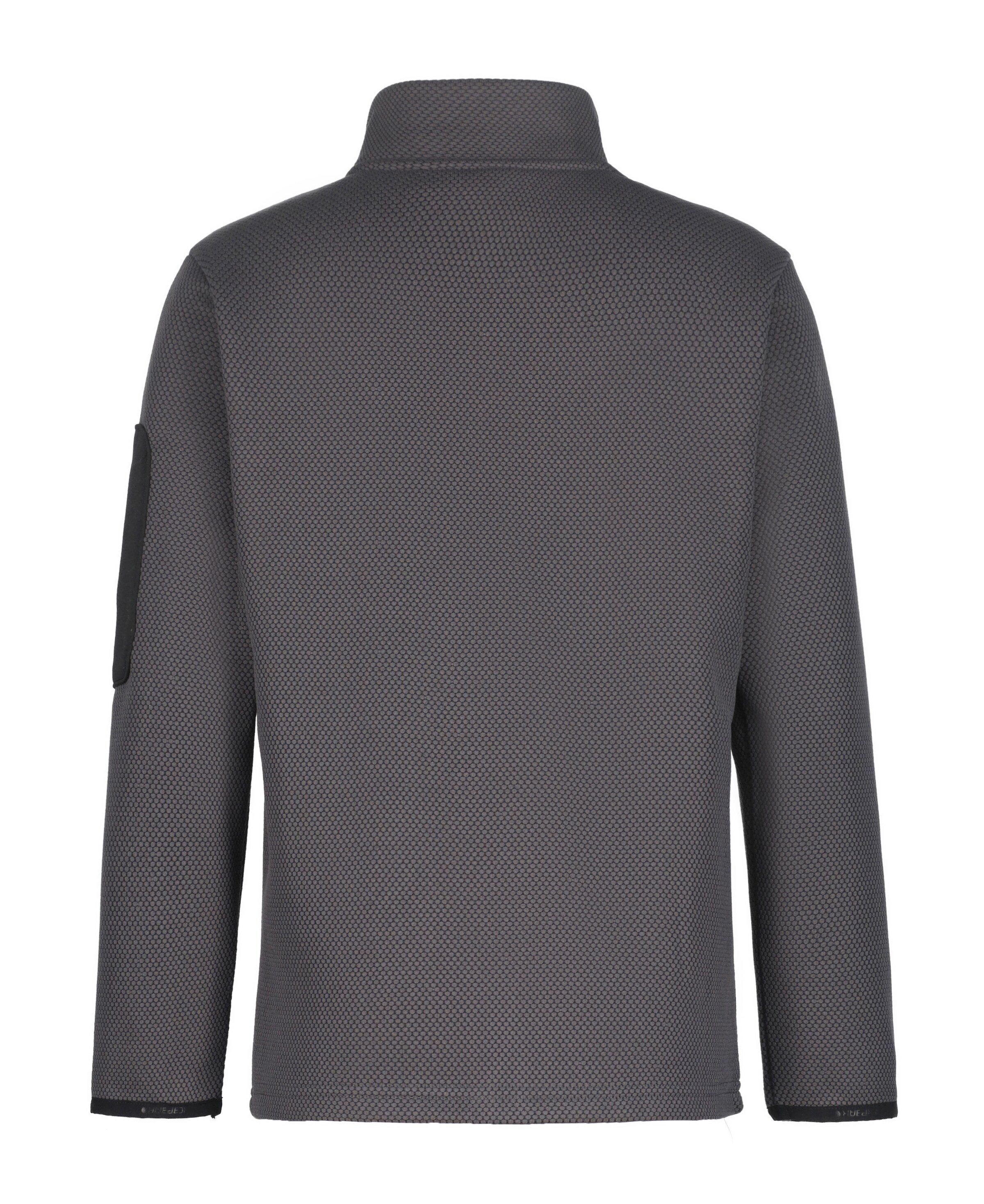 ICEPEAK Funktionsfleecejacke in Grau