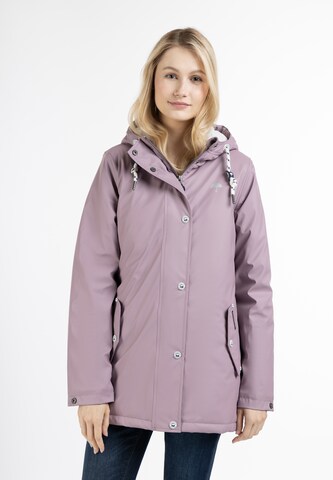 Veste fonctionnelle Schmuddelwedda en violet : devant