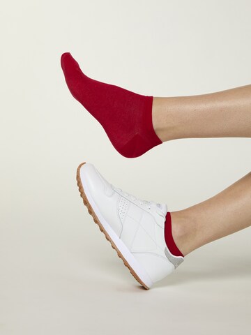 Nur Die Ankle socks ' Unisex Colour Sneaker farbige Füßlinge kurz ' in Red