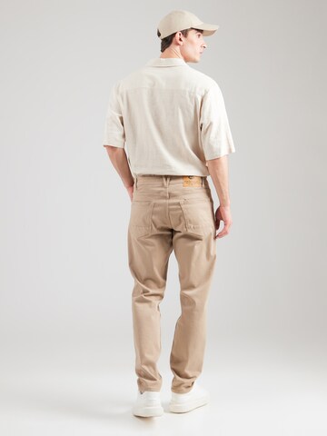 Tapered Jeans 'Russel Flamingobreeze' di Petrol Industries in marrone