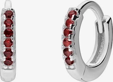 Lucardi Ohrringe in Silber: Vorderseite