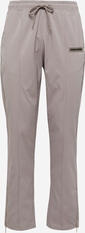 regular Pantaloni con piega frontale 'ALBION' di Pegador in grigio: frontale