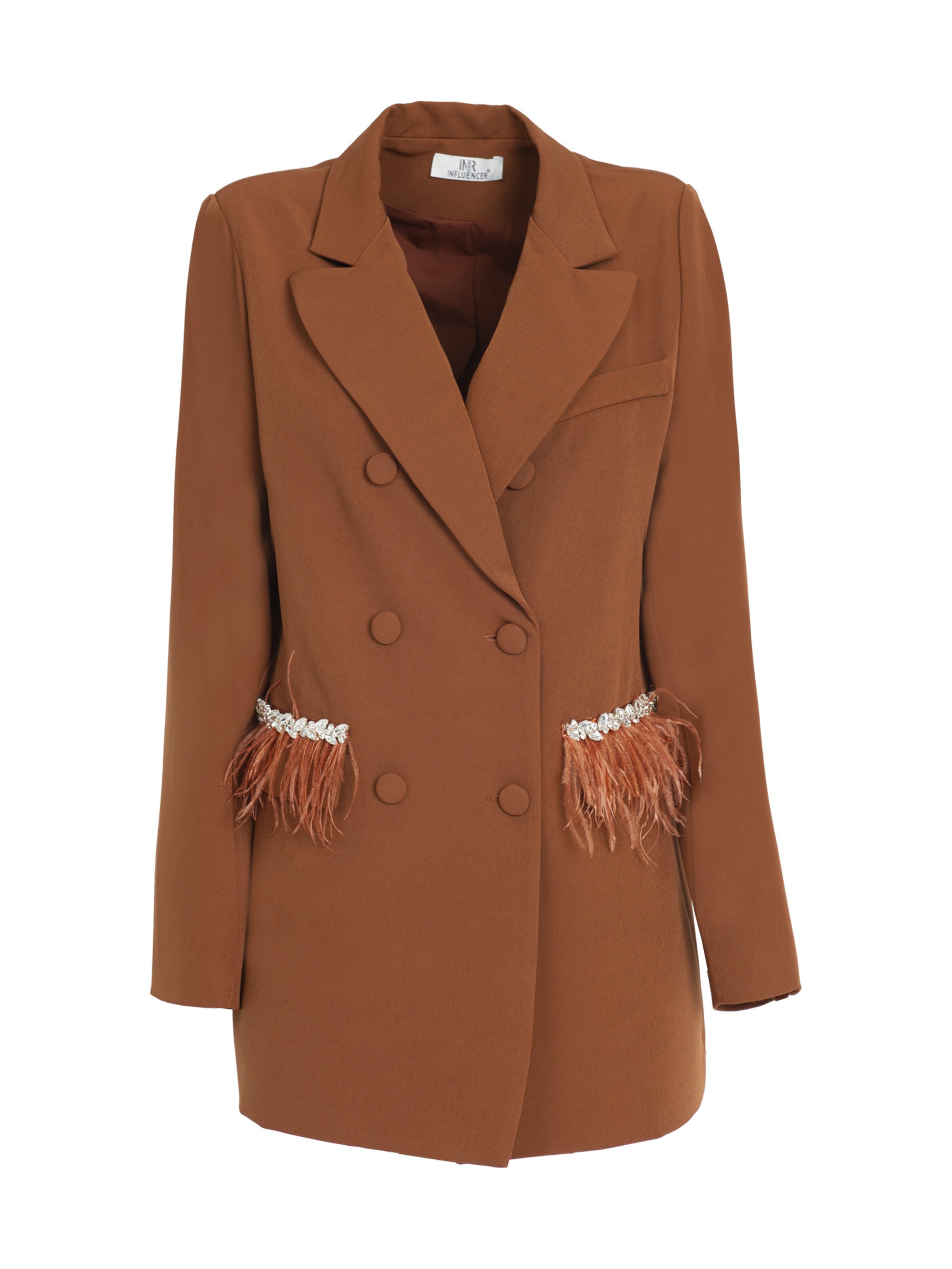 Influencer Блейзер в Коричневый: спереди