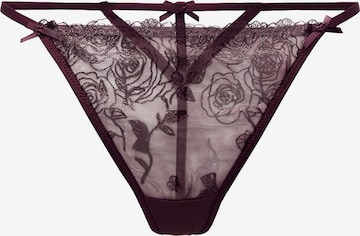 Hunkemöller Stringit 'HOLLIE' värissä punainen: etupuoli