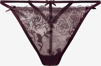 Hunkemöller Stringit 'HOLLIE' värissä burgundin punainen, Tuotenäkymä