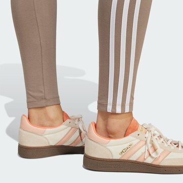 ADIDAS ORIGINALS - Skinny Leggings en marrón