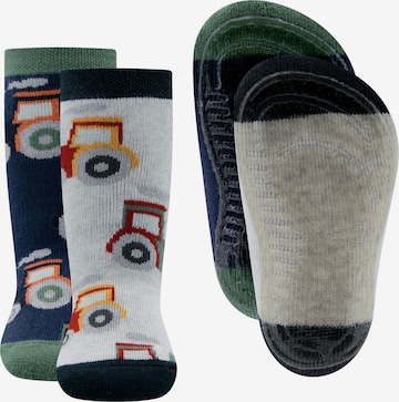 EWERS Socks in Blue: front