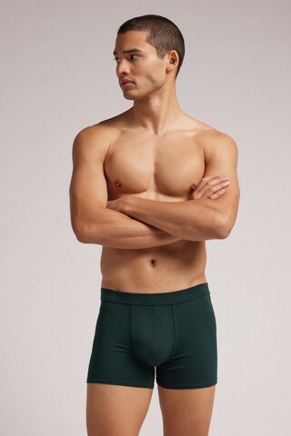 INTIMISSIMI Boxer shorts in Green