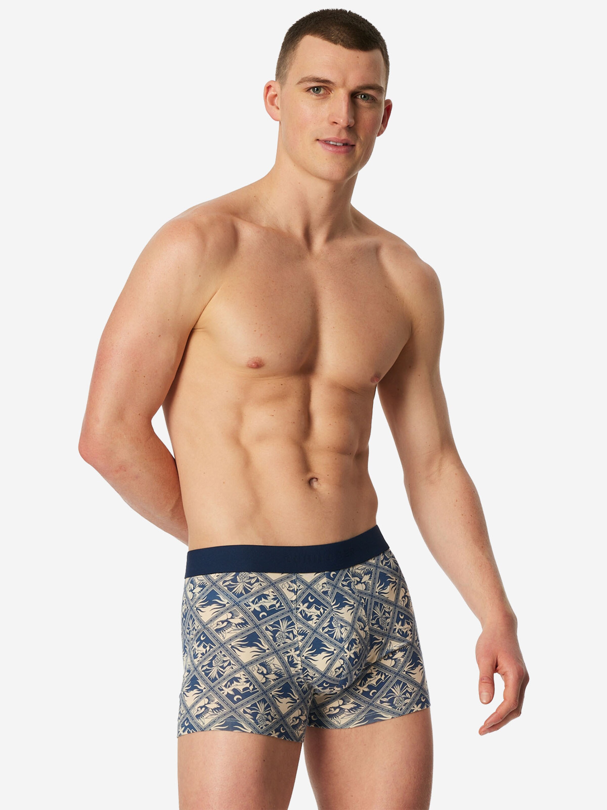 SCHIESSER Boxershorts '95/5 Organic Cotton'‌‌ in Beige