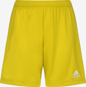 Pantaloni sportivi 'Entrada 22' di ADIDAS PERFORMANCE in giallo: frontale