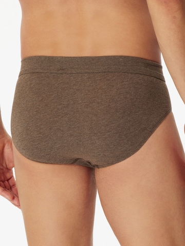 SCHIESSER Panty in Brown