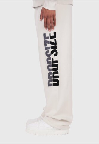 regular Pantaloni di Dropsize in beige