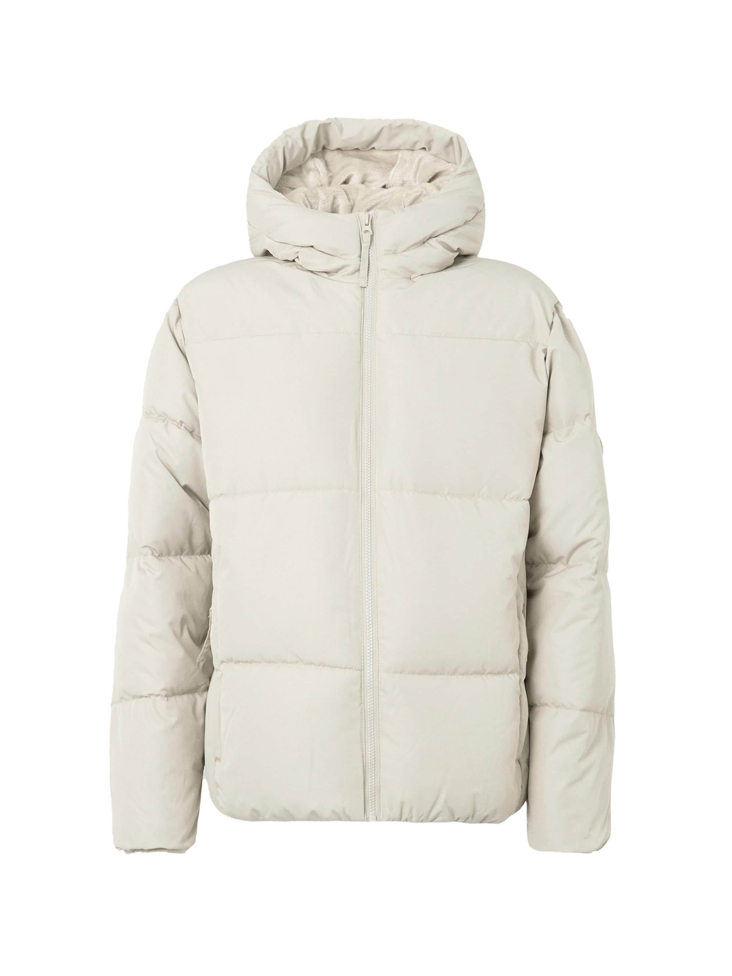 HOLLISTER Winter jacket in Grey: front