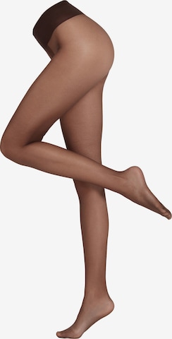 CALZEDONIA Feinstrumpfhose in Braun: Vorderseite
