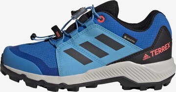 ADIDAS TERREX Lage schoen in Blauw: voorkant