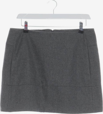 Peserico Skirt in S in Grey: front