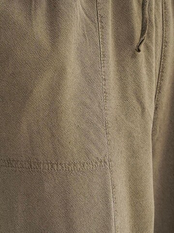 Tapered Pantaloni de la MixRay pe verde