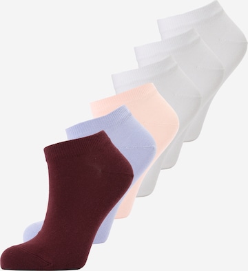 smėlio HUGO Kojinės: priekis