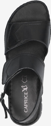 CAPRICE Sandals in Black