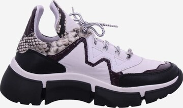 Cetti Sneakers in White