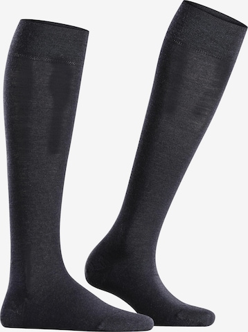 FALKE Over the Knee Socks 'Sensitive Berlin' in Blue: front