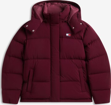 Tommy Jeans Zimná bunda 'ALASKA' - Fialová: predná strana