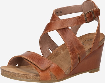 Ca'Shott Strap Sandals in Brown: front