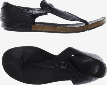 Pedro García Sandals & High-Heeled Sandals in 39 in Black: front