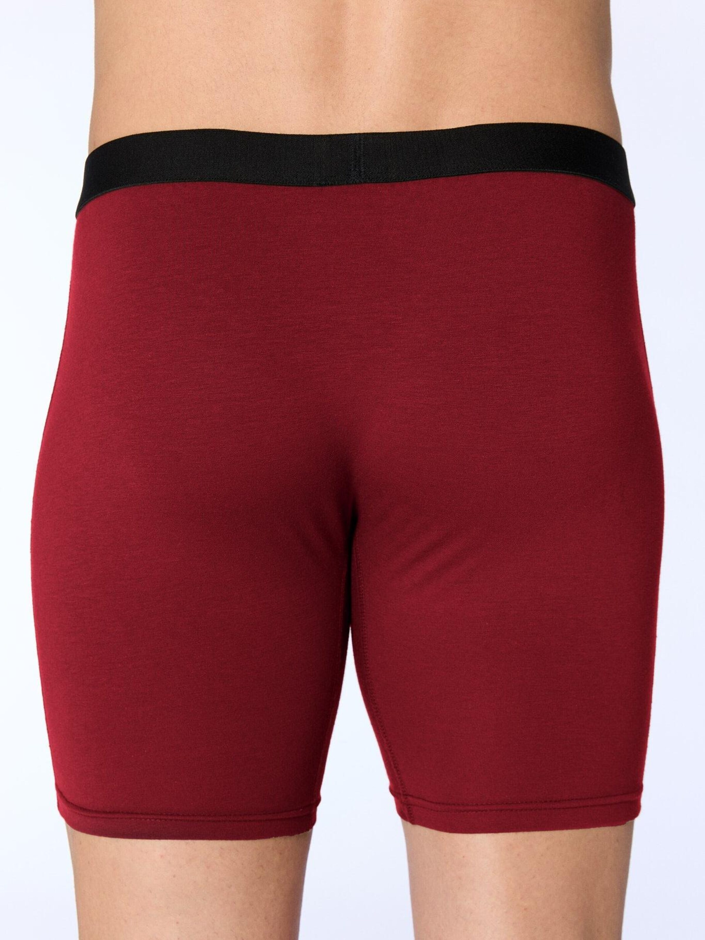 Albero Natur Long Johns 'Long underpants 'Bio-Baumwoll-Herren Long Trunks - 3er Pack'' in Red