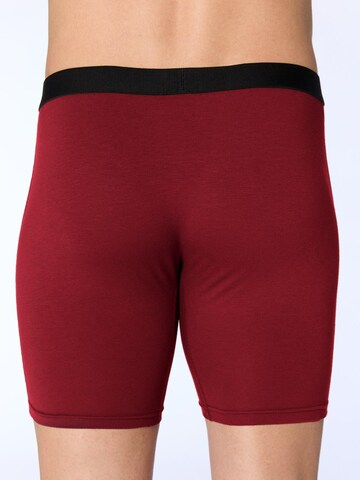 Albero Natur Long Johns 'Bio-Baumwoll-Herren Long Trunks' in Red
