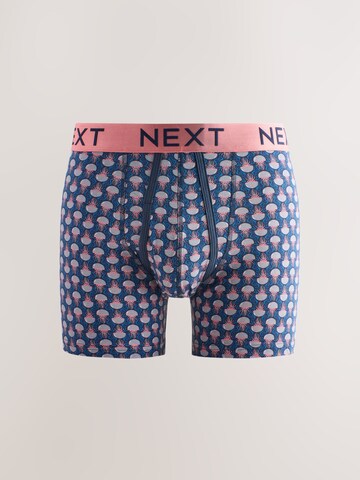 Boxeri de la Next pe albastru