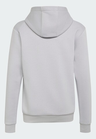 ADIDAS TERREX Sportsweatshirt 'Adidas x Minecraft' in Grau