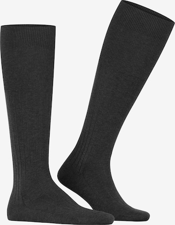 FALKE Knee High Socks 'Milano' in Grey: front