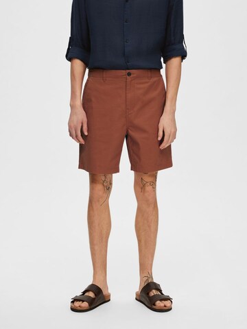 SELECTED HOMME Regular Chino Pants in Brown: front