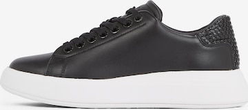 Baskets basses Calvin Klein en noir : devant