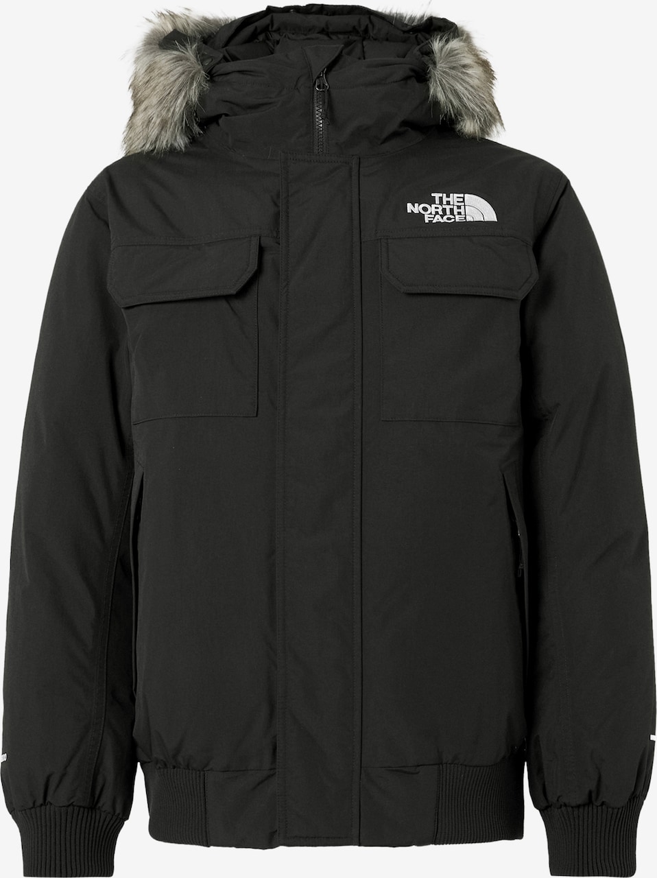 Geacă de iarnă 'MCMURDO' de la THE NORTH FACE pe negru: față