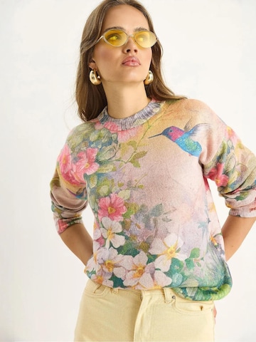 Bianco Lucci Pulover 'Pullover' | mešane barve barva