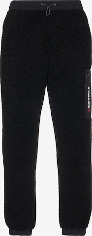 SOUTHPOLE Lużny krój Spodnie 'Authentic02' w kolorze czarny: przód