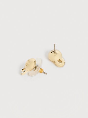 DKNY Earrings in Gold