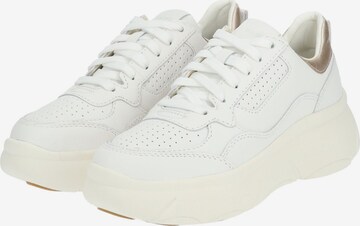 Baskets basses GEOX en blanc