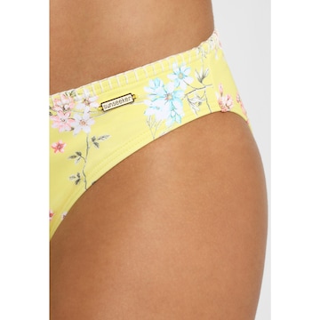 SUNSEEKER - Cueca biquíni 'Ditsy' em amarelo