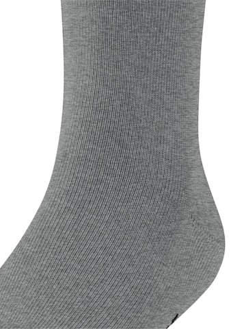 FALKE Socks in Grey