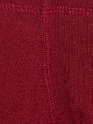 ZUBEK - Calzoncillo ''Wool'' en rojo