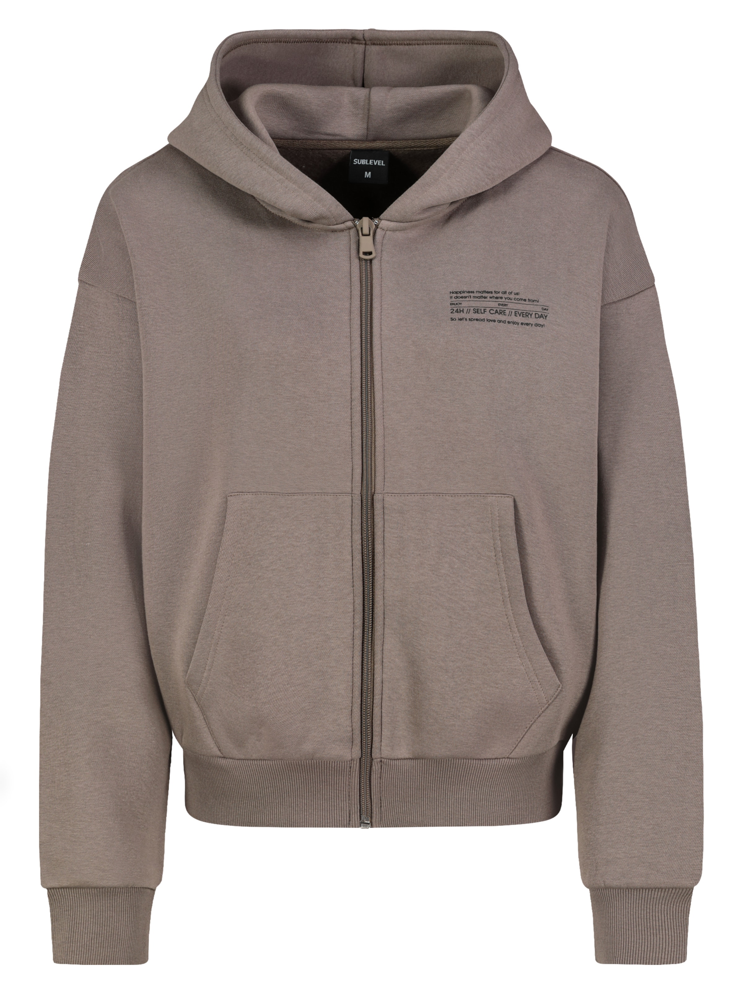Sublevel Zip-Up Hoodie in Brown: front