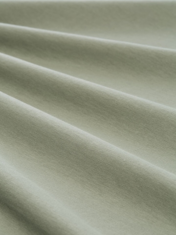 TOM TAILOR Men + Shirt in Groen