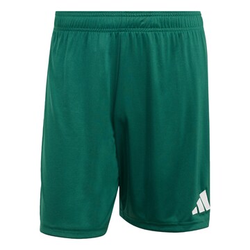 ADIDAS PERFORMANCE Regular Sports trousers 'ENT26' in Green