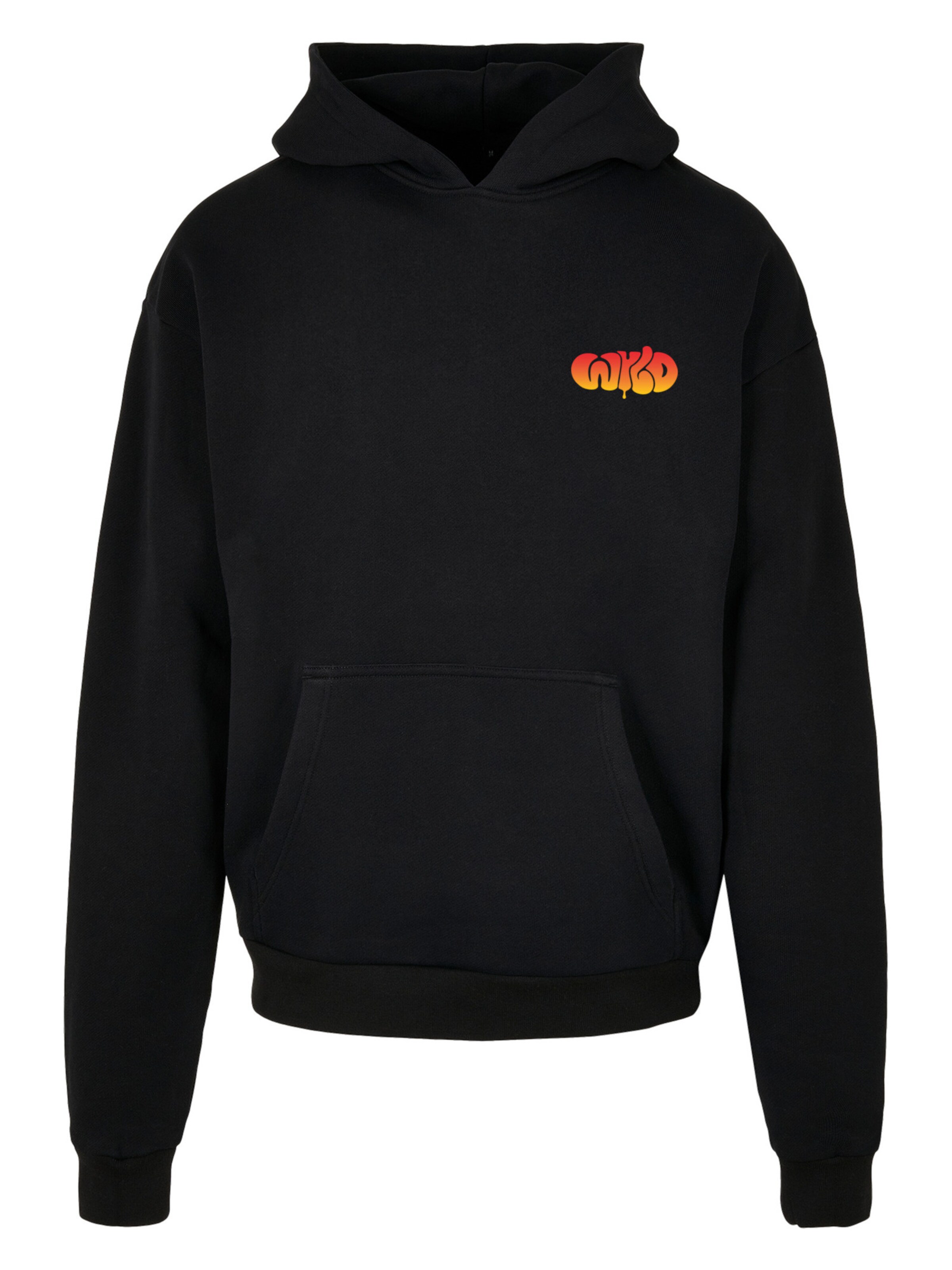 F4NT4STIC Sweatshirt in Black: front