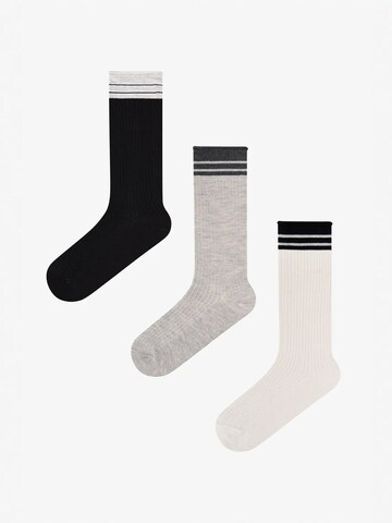 Penti Sokken 'PENTI Urban Gestreifte Baumwoll-Socken im Paar' in Gemengde kleuren: voorkant